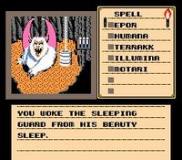 une photo d'Ã©cran de Shadowgate sur Nintendo Nes